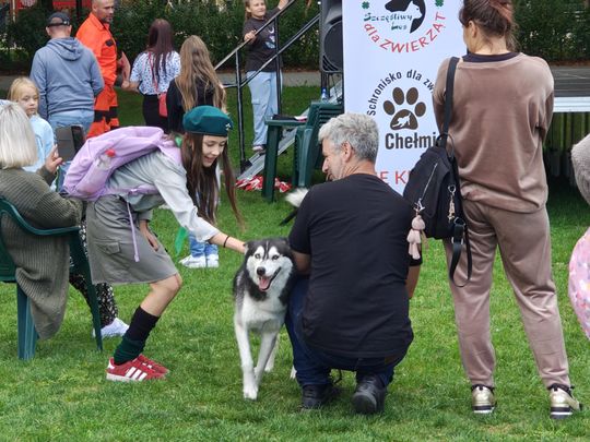 Chełm. Festyn z okazji "Światowego Dnia Zwierząt" [GALERIA ZDJĘĆ]