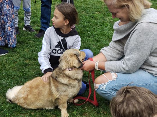 Chełm. Festyn z okazji "Światowego Dnia Zwierząt" [GALERIA ZDJĘĆ]