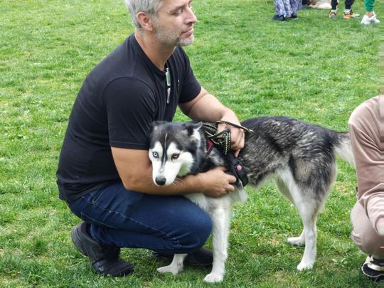 Chełm. Festyn z okazji "Światowego Dnia Zwierząt" [GALERIA ZDJĘĆ]