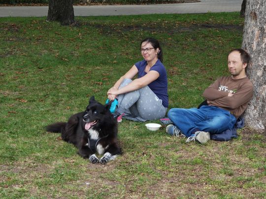 Chełm. Festyn z okazji "Światowego Dnia Zwierząt" [GALERIA ZDJĘĆ]