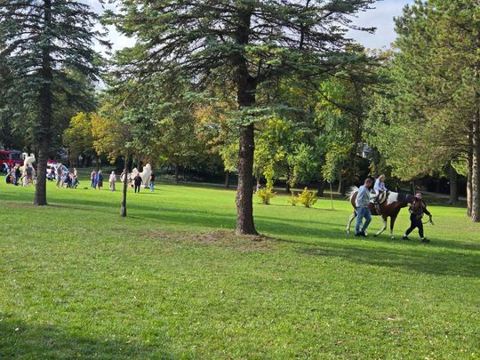 Chełm. Festyn z okazji "Światowego Dnia Zwierząt" [GALERIA ZDJĘĆ]