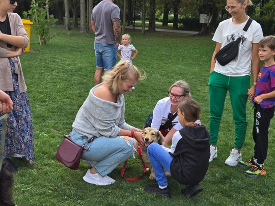 Chełm. Festyn z okazji "Światowego Dnia Zwierząt" [GALERIA ZDJĘĆ]