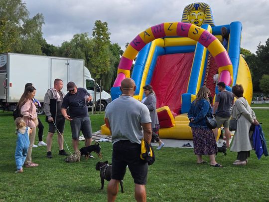 Chełm. Festyn z okazji "Światowego Dnia Zwierząt" [GALERIA ZDJĘĆ]