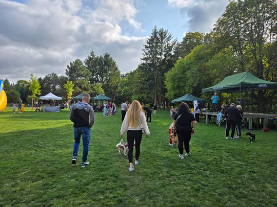 Chełm. Festyn z okazji "Światowego Dnia Zwierząt" [GALERIA ZDJĘĆ]