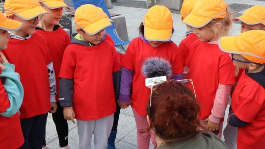 Chełm. Eko-Piknik „W naturę z kulturą” cz. I [GALERIA ZDJĘĆ]