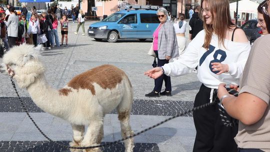 Chełm. Eko-Piknik „W naturę z kulturą” cz. I [GALERIA ZDJĘĆ]