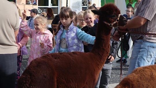 Chełm. Eko-Piknik „W naturę z kulturą” cz. I [GALERIA ZDJĘĆ]