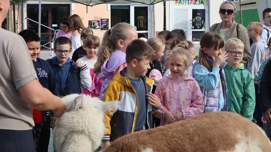 Chełm. Eko-Piknik „W naturę z kulturą” cz. I [GALERIA ZDJĘĆ]