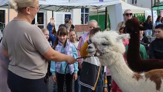 Chełm. Eko-Piknik „W naturę z kulturą” cz. I [GALERIA ZDJĘĆ]