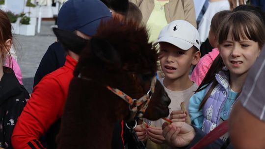 Chełm. Eko-Piknik „W naturę z kulturą” cz. I [GALERIA ZDJĘĆ]