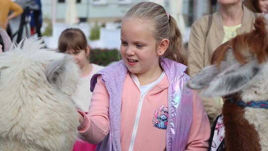 Chełm. Eko-Piknik „W naturę z kulturą” cz. I [GALERIA ZDJĘĆ]