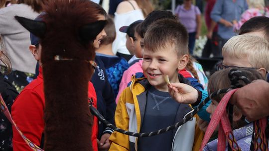 Chełm. Eko-Piknik „W naturę z kulturą” cz. I [GALERIA ZDJĘĆ]