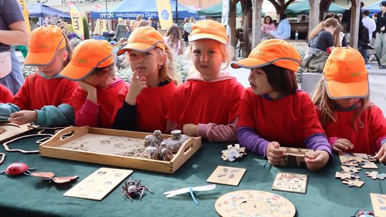 Chełm. Eko-Piknik „W naturę z kulturą” cz. I [GALERIA ZDJĘĆ]