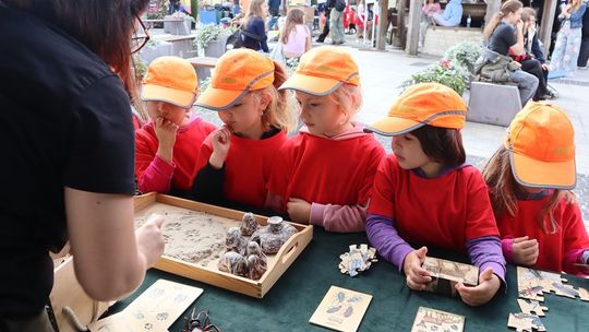 Chełm. Eko-Piknik „W naturę z kulturą” cz. I [GALERIA ZDJĘĆ]