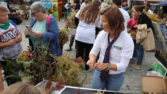 Chełm. Eko-Piknik „W naturę z kulturą” cz. I [GALERIA ZDJĘĆ]