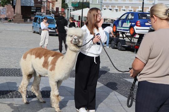Chełm. Eko-Piknik „W naturę z kulturą” cz. I [GALERIA ZDJĘĆ]