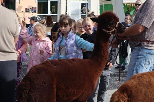 Chełm. Eko-Piknik „W naturę z kulturą” cz. I [GALERIA ZDJĘĆ]