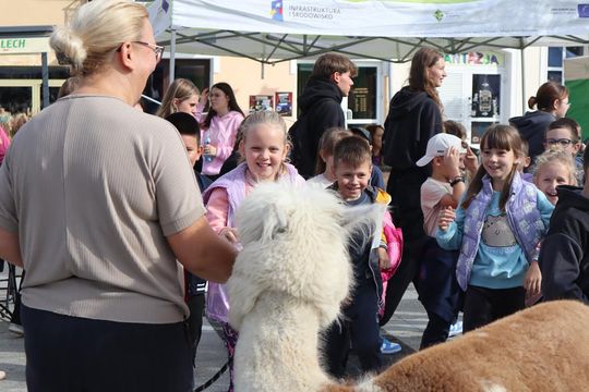 Chełm. Eko-Piknik „W naturę z kulturą” cz. I [GALERIA ZDJĘĆ]