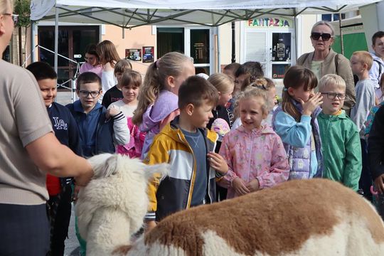 Chełm. Eko-Piknik „W naturę z kulturą” cz. I [GALERIA ZDJĘĆ]