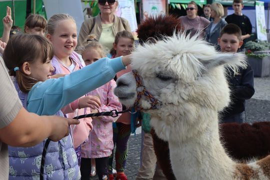 Chełm. Eko-Piknik „W naturę z kulturą” cz. I [GALERIA ZDJĘĆ]