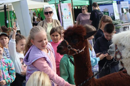 Chełm. Eko-Piknik „W naturę z kulturą” cz. I [GALERIA ZDJĘĆ]