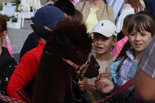 Chełm. Eko-Piknik „W naturę z kulturą” cz. I [GALERIA ZDJĘĆ]