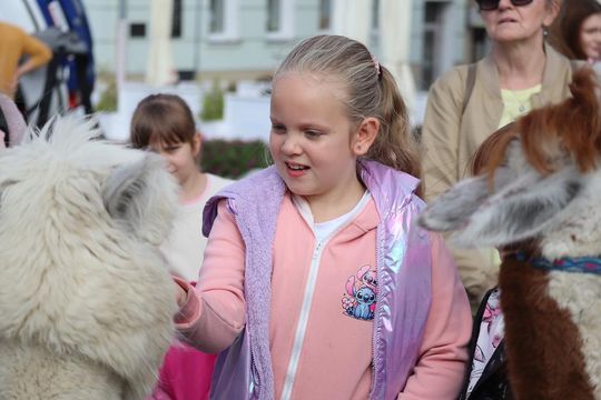 Chełm. Eko-Piknik „W naturę z kulturą” cz. I [GALERIA ZDJĘĆ]