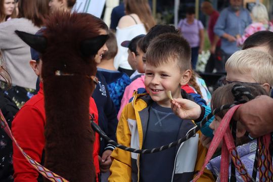 Chełm. Eko-Piknik „W naturę z kulturą” cz. I [GALERIA ZDJĘĆ]