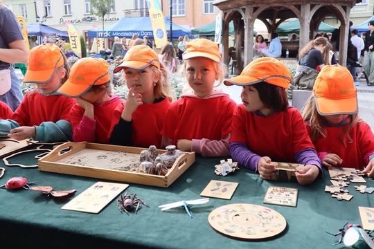 Chełm. Eko-Piknik „W naturę z kulturą” cz. I [GALERIA ZDJĘĆ]