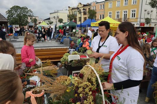 Chełm. Eko-Piknik „W naturę z kulturą” cz. I [GALERIA ZDJĘĆ]