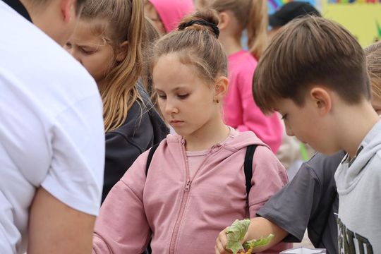 Chełm. Eko-Piknik „W naturę z kulturą” cz. I [GALERIA ZDJĘĆ]