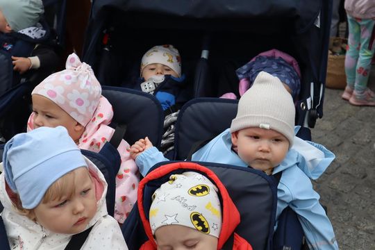 Chełm. Eko-Piknik „W naturę z kulturą” cz. I [GALERIA ZDJĘĆ]