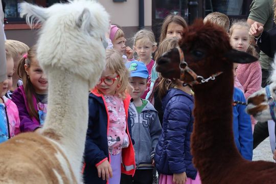 Chełm. Eko-Piknik „W naturę z kulturą” cz. I [GALERIA ZDJĘĆ]