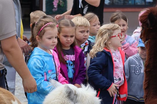 Chełm. Eko-Piknik „W naturę z kulturą” cz. I [GALERIA ZDJĘĆ]