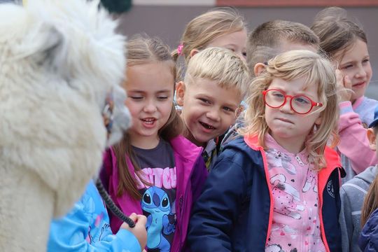 Chełm. Eko-Piknik „W naturę z kulturą” cz. I [GALERIA ZDJĘĆ]