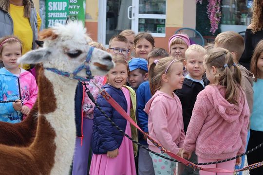 Chełm. Eko-Piknik „W naturę z kulturą” cz. I [GALERIA ZDJĘĆ]