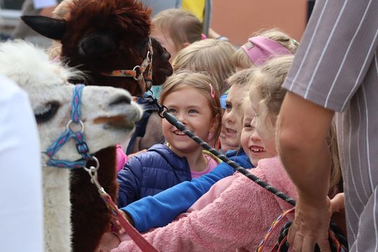 Chełm. Eko-Piknik „W naturę z kulturą” cz. I [GALERIA ZDJĘĆ]