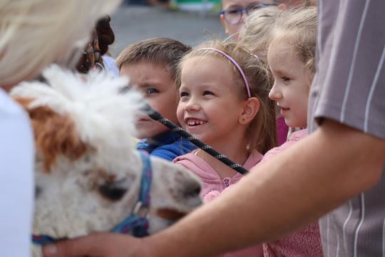 Chełm. Eko-Piknik „W naturę z kulturą” cz. I [GALERIA ZDJĘĆ]