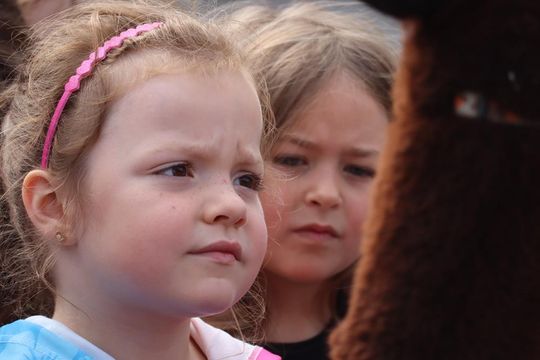 Chełm. Eko-Piknik „W naturę z kulturą” cz. I [GALERIA ZDJĘĆ]