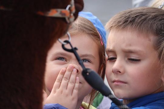 Chełm. Eko-Piknik „W naturę z kulturą” cz. I [GALERIA ZDJĘĆ]