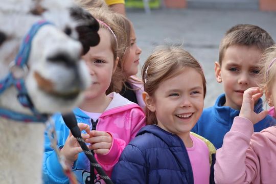 Chełm. Eko-Piknik „W naturę z kulturą” cz. I [GALERIA ZDJĘĆ]