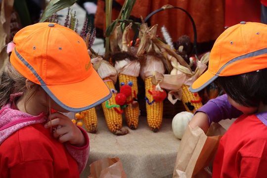 Chełm. Eko-Piknik „W naturę z kulturą” cz. I [GALERIA ZDJĘĆ]