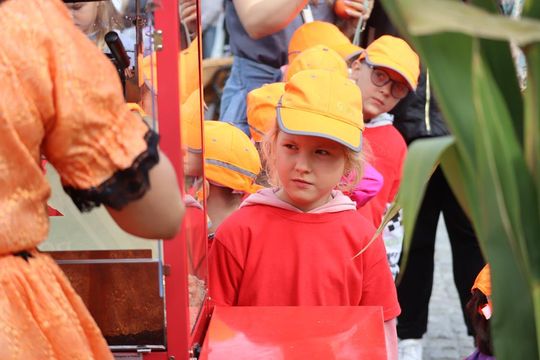 Chełm. Eko-Piknik „W naturę z kulturą” cz. I [GALERIA ZDJĘĆ]