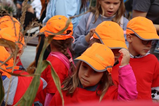 Chełm. Eko-Piknik „W naturę z kulturą” cz. I [GALERIA ZDJĘĆ]