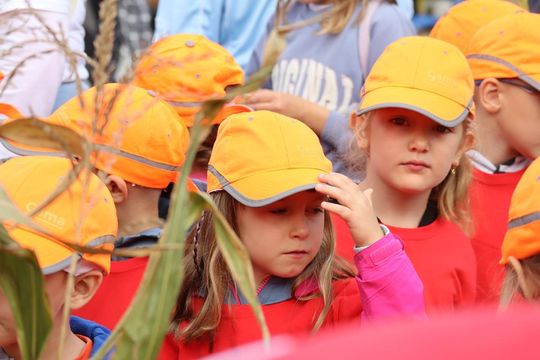 Chełm. Eko-Piknik „W naturę z kulturą” cz. I [GALERIA ZDJĘĆ]