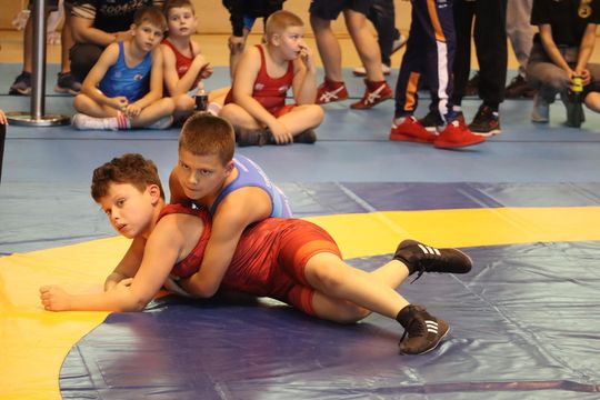 Chełm. Otwarte Mistrzostwa Województwa Lubelskiego w zapasach [GALERIA ZDJĘĆ] 