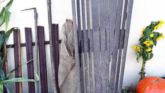 Radosne Święto Pieczonego Ziemniaka w Wólce Kańskiej [GALERIA ZDJĘĆ]