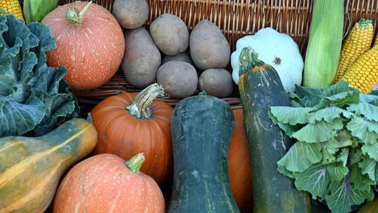 Radosne Święto Pieczonego Ziemniaka w Wólce Kańskiej [GALERIA ZDJĘĆ]