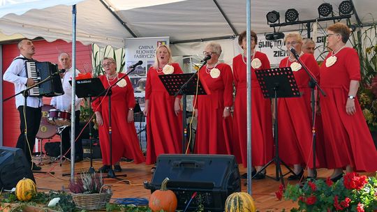 Radosne Święto Pieczonego Ziemniaka w Wólce Kańskiej [GALERIA ZDJĘĆ]