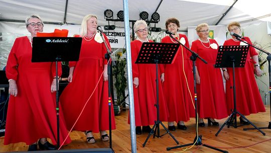 Radosne Święto Pieczonego Ziemniaka w Wólce Kańskiej [GALERIA ZDJĘĆ]